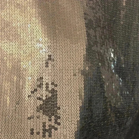 Zara Trafaluc sequin short sleeve top - Picture 2 of 5